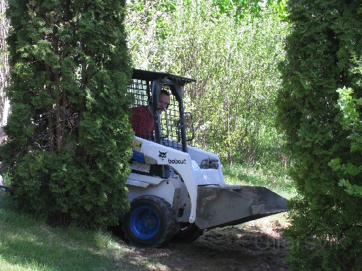 Bobcat!!.JPG - Bobcat!! Skitkul!!