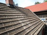 IMG_2064