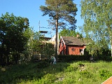 IMG_0437